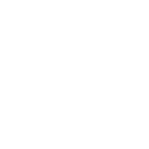 Company Strength
